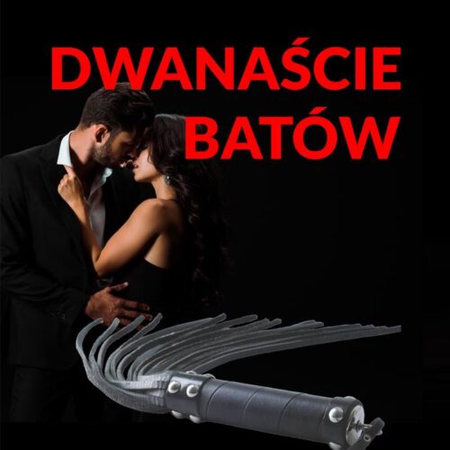Okladka ksiazki Dwanascie batow